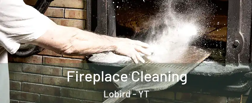  Fireplace Cleaning Lobird - YT