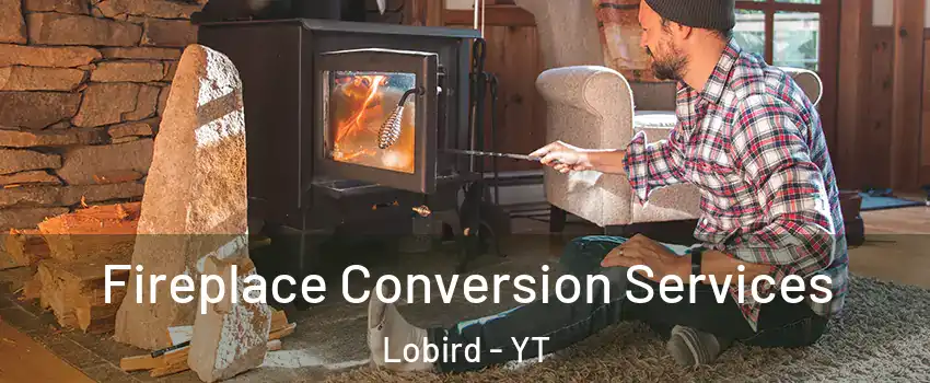  Fireplace Conversion Services Lobird - YT