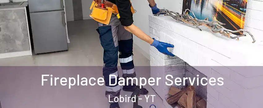  Fireplace Damper Services Lobird - YT