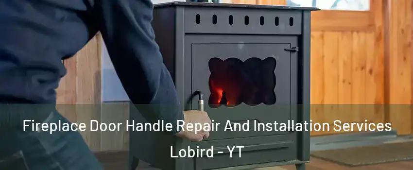  Fireplace Door Handle Repair And Installation Services Lobird - YT