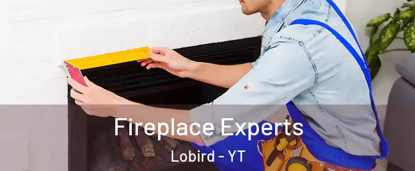  Fireplace Experts Lobird - YT