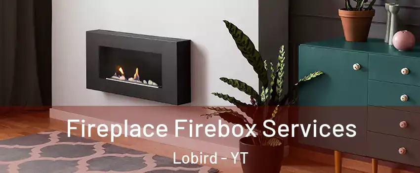  Fireplace Firebox Services Lobird - YT