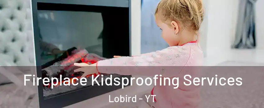  Fireplace Kidsproofing Services Lobird - YT
