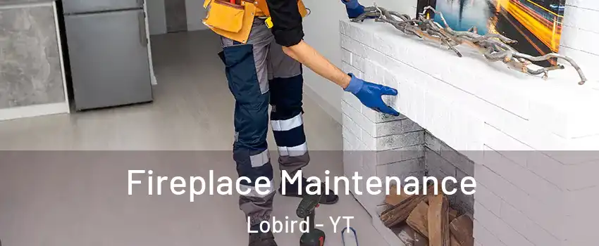  Fireplace Maintenance Lobird - YT