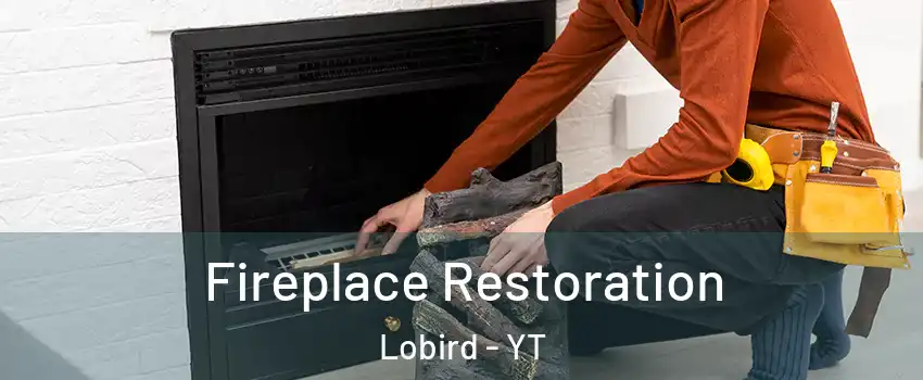  Fireplace Restoration Lobird - YT