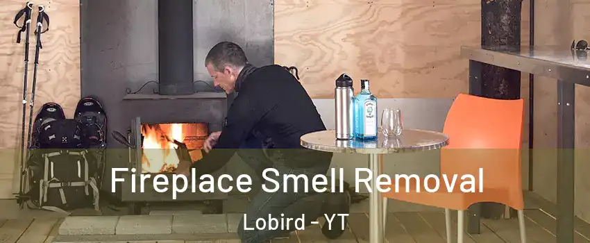  Fireplace Smell Removal Lobird - YT