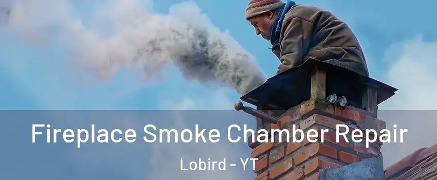  Fireplace Smoke Chamber Repair Lobird - YT