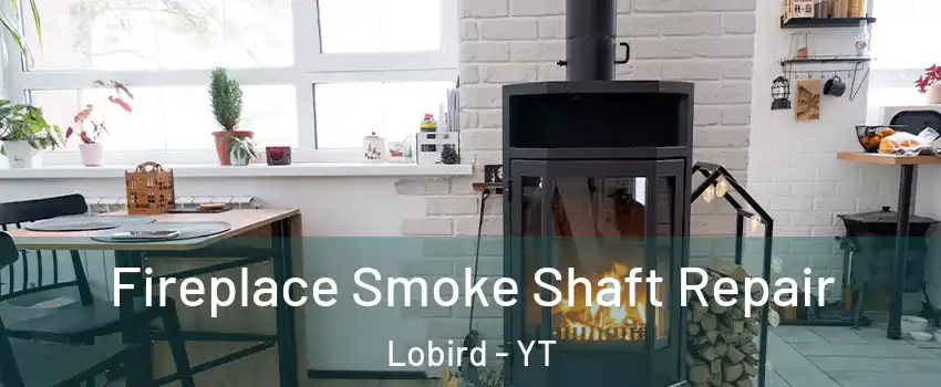  Fireplace Smoke Shaft Repair Lobird - YT