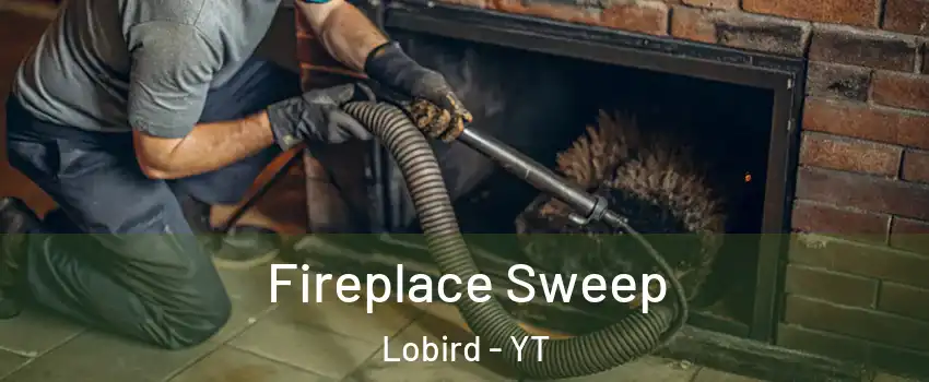  Fireplace Sweep Lobird - YT