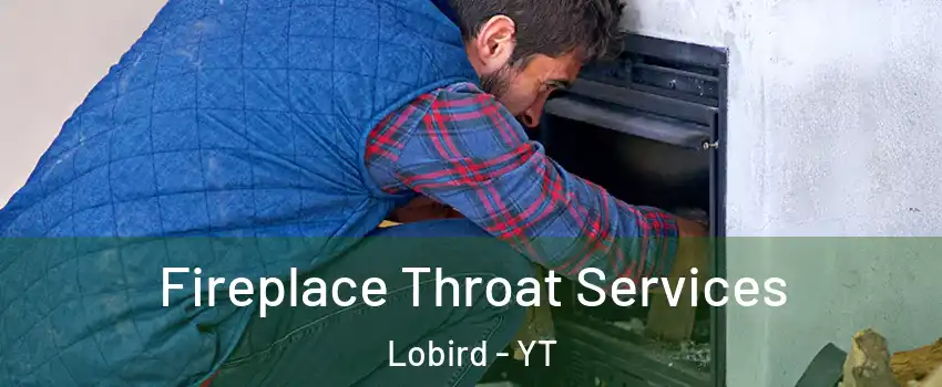  Fireplace Throat Services Lobird - YT