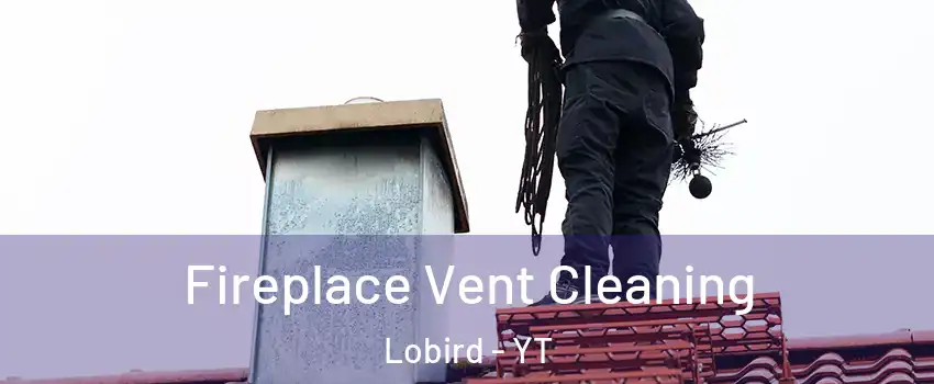  Fireplace Vent Cleaning Lobird - YT