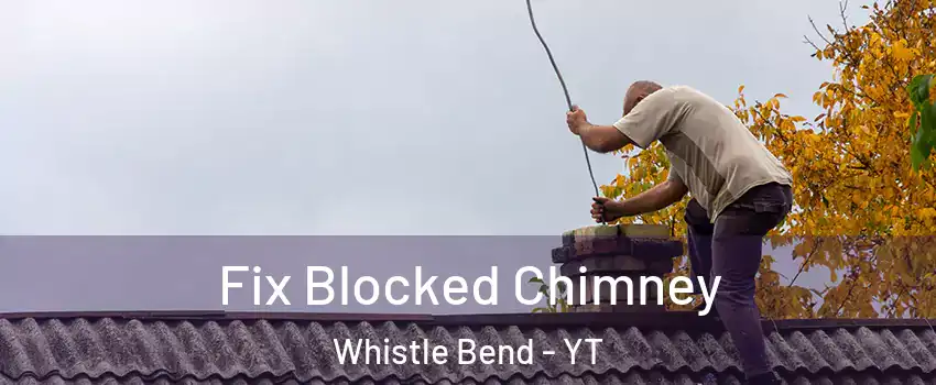  Fix Blocked Chimney Whistle Bend - YT
