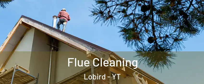  Flue Cleaning Lobird - YT