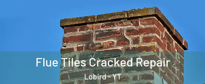  Flue Tiles Cracked Repair Lobird - YT