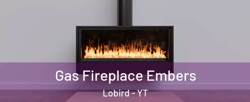  Gas Fireplace Embers Lobird - YT