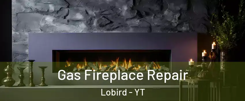  Gas Fireplace Repair Lobird - YT