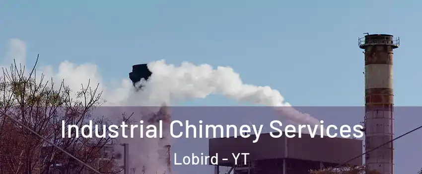  Industrial Chimney Services Lobird - YT