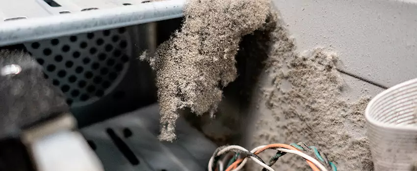 Clogged Dryer Vent Lint Cleaning in Whitehorse, Yukon