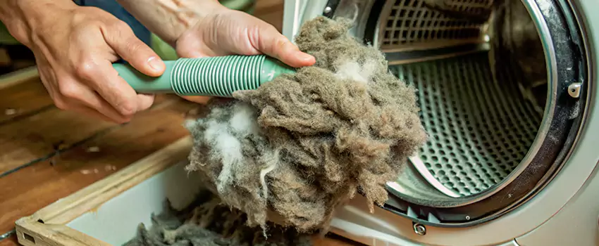 Best Dryer Lint Removal Company in Whitehorse, Yukon