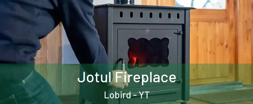 Jotul Fireplace Lobird - YT