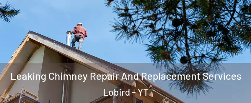  Leaking Chimney Repair And Replacement Services Lobird - YT