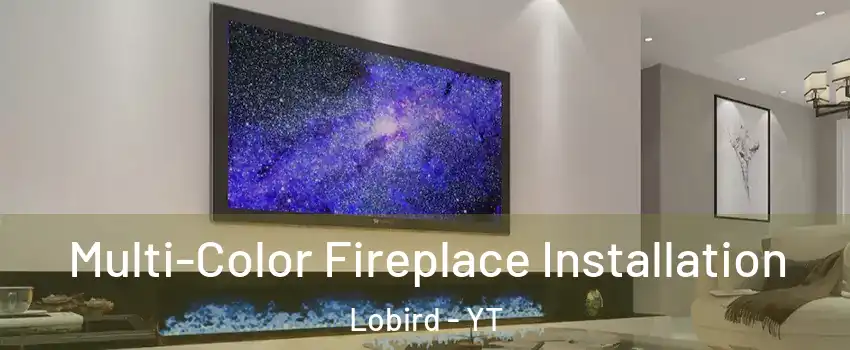  Multi-Color Fireplace Installation Lobird - YT