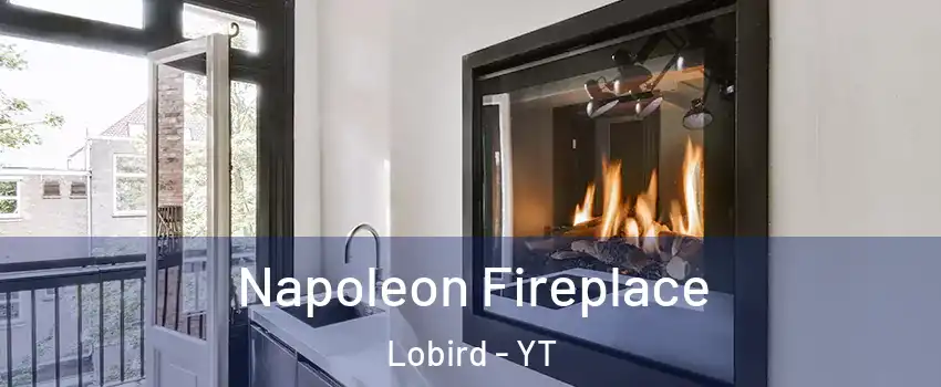 Napoleon Fireplace Lobird - YT
