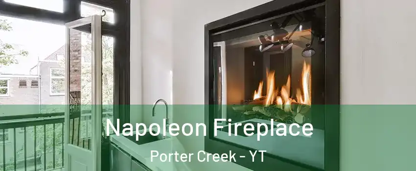  Napoleon Fireplace Porter Creek - YT