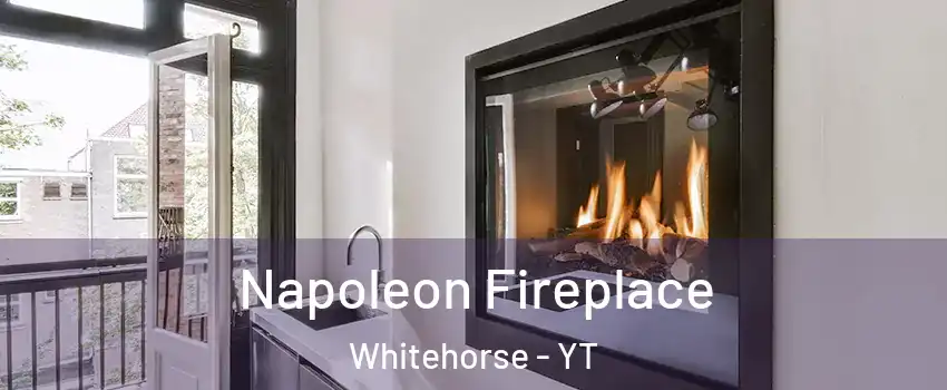  Napoleon Fireplace Whitehorse - YT