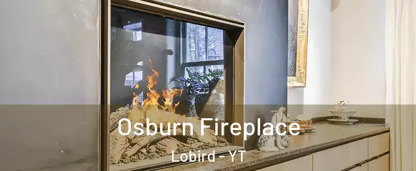  Osburn Fireplace Lobird - YT