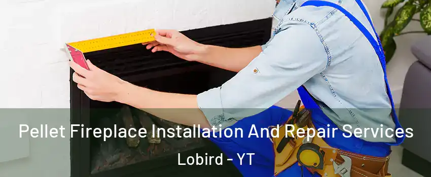  Pellet Fireplace Installation And Repair Services Lobird - YT