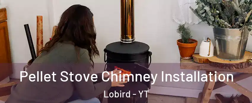  Pellet Stove Chimney Installation Lobird - YT