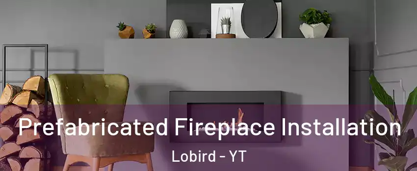  Prefabricated Fireplace Installation Lobird - YT
