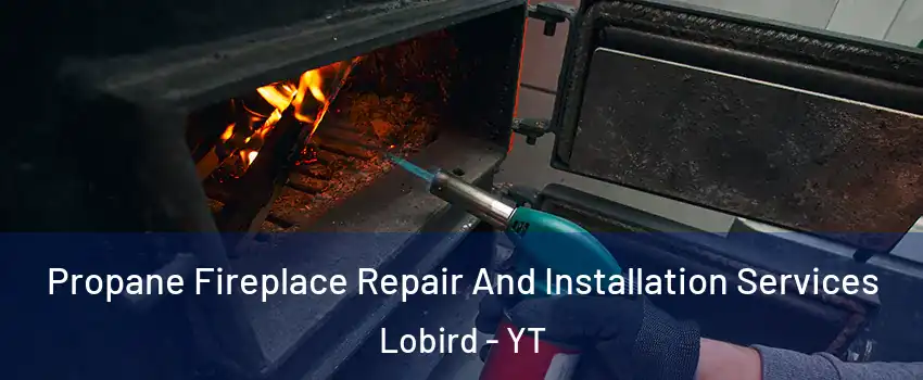  Propane Fireplace Repair And Installation Services Lobird - YT
