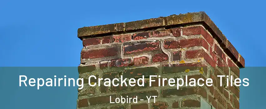  Repairing Cracked Fireplace Tiles Lobird - YT