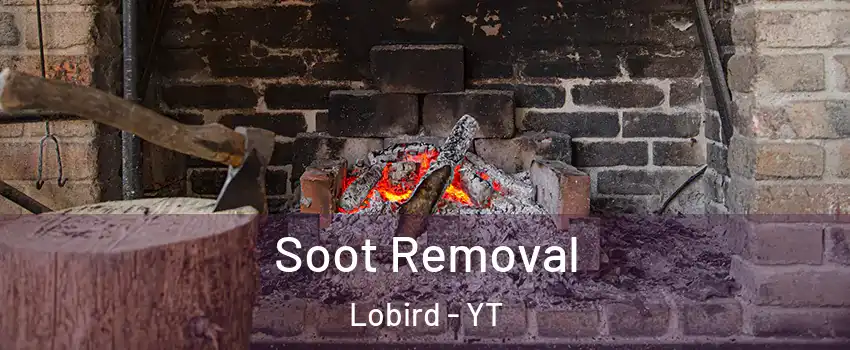  Soot Removal Lobird - YT