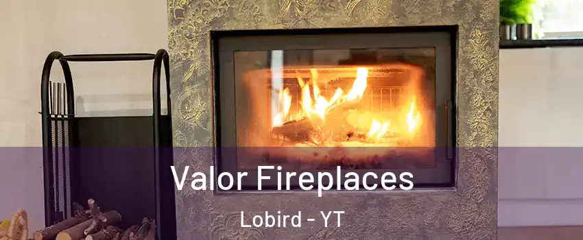  Valor Fireplaces Lobird - YT