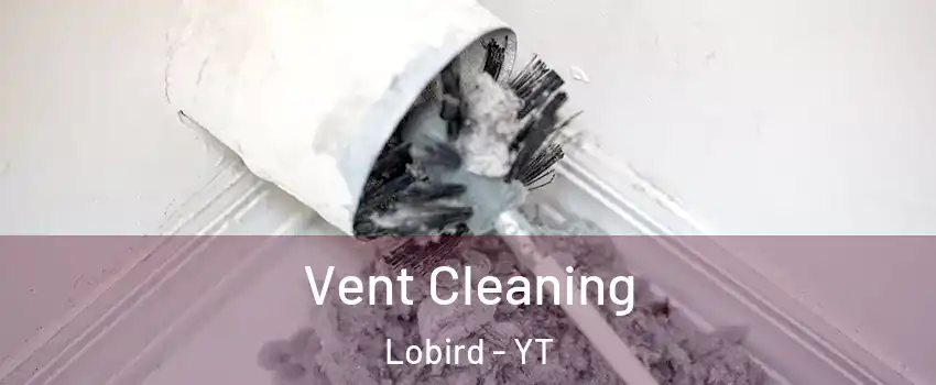  Vent Cleaning Lobird - YT