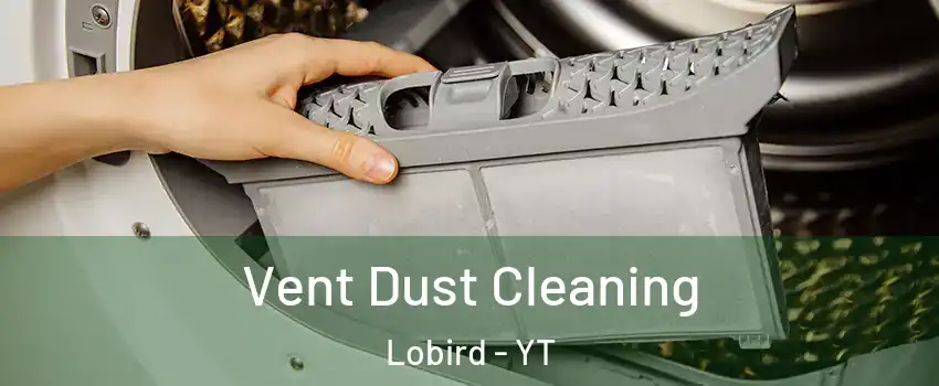  Vent Dust Cleaning Lobird - YT