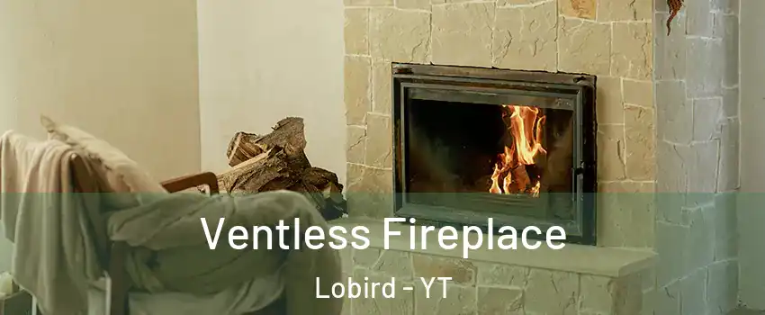  Ventless Fireplace Lobird - YT