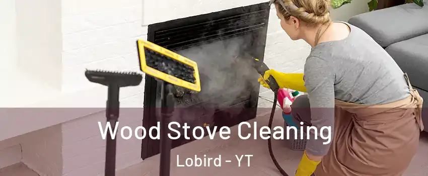  Wood Stove Cleaning Lobird - YT